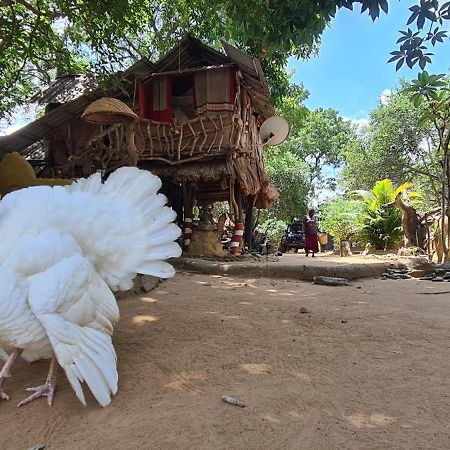 Humbhaha Jungle Yala Nature Eco Resort Катарагама Экстерьер фото