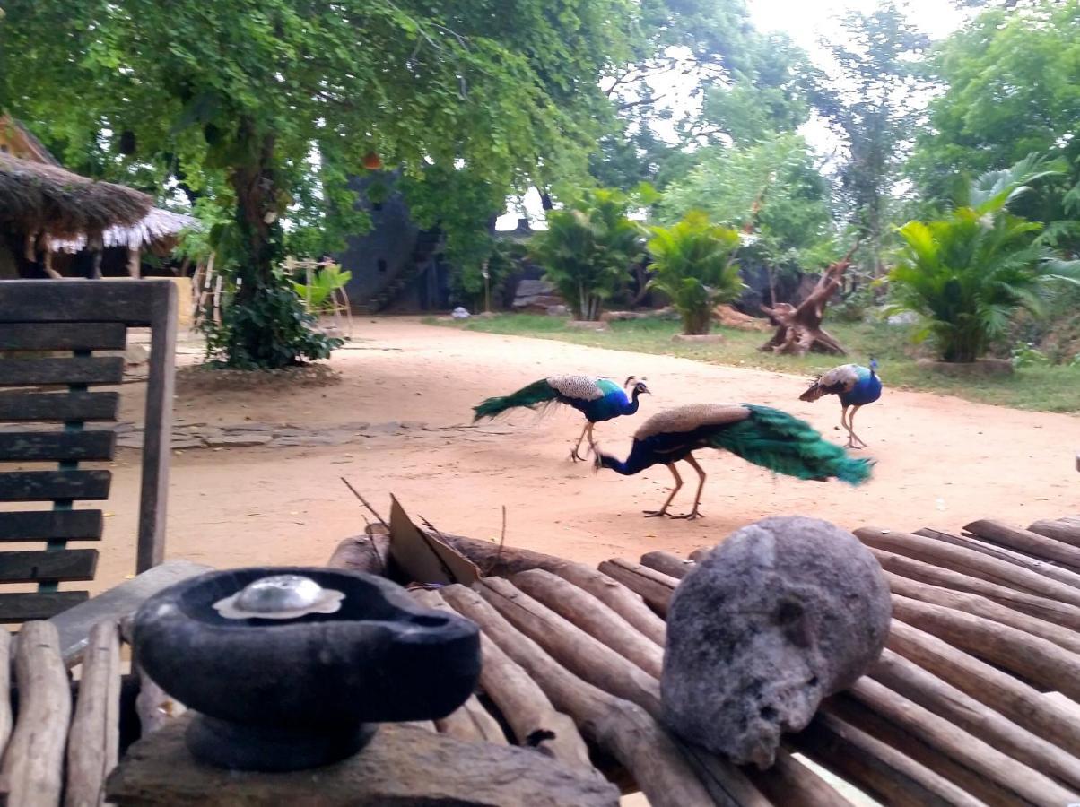 Humbhaha Jungle Yala Nature Eco Resort Катарагама Экстерьер фото