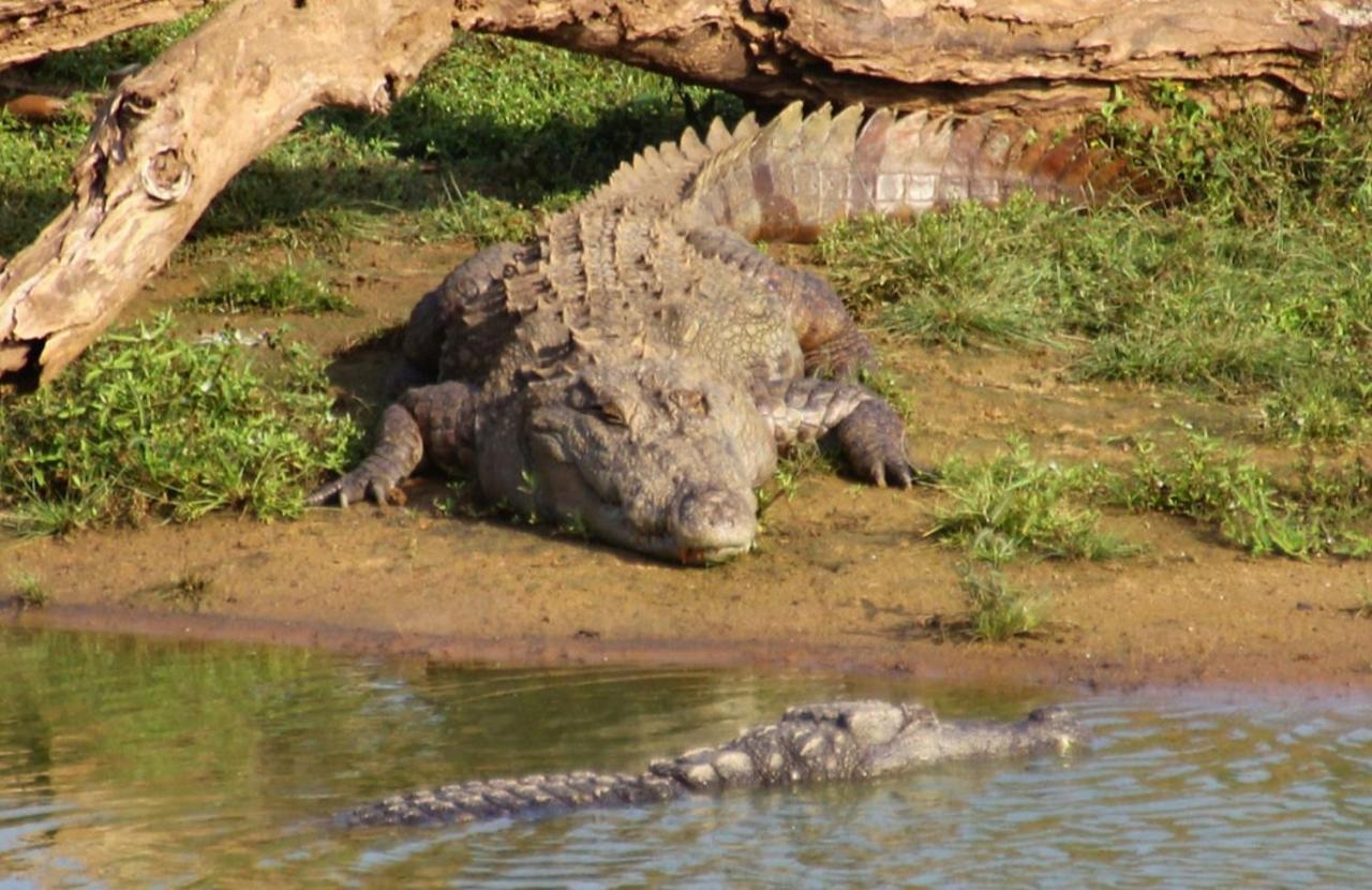 Humbhaha Jungle Yala Nature Eco Resort Катарагама Экстерьер фото